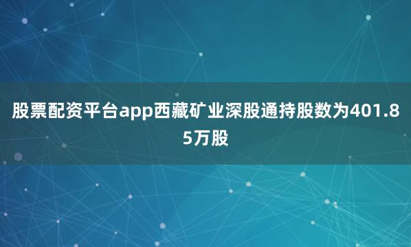 股票配资平台app西藏矿业深股通持股数为401.85万股