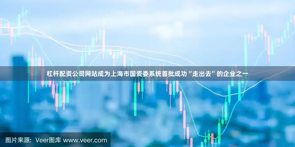 杠杆配资公司网站成为上海市国资委系统首批成功“走出去”的企业之一