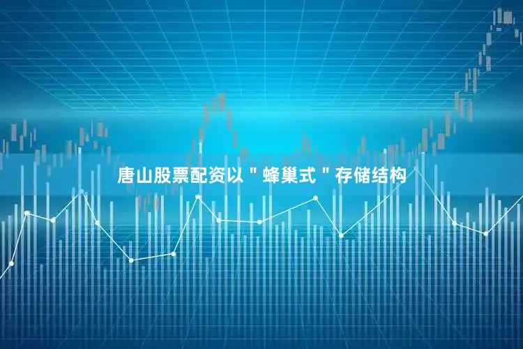 唐山股票配资以＂蜂巢式＂存储结构