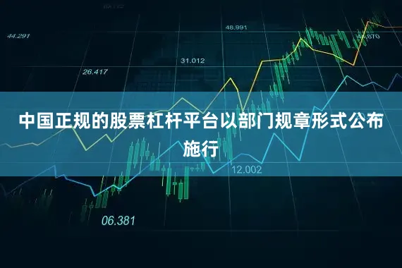 中国正规的股票杠杆平台以部门规章形式公布施行